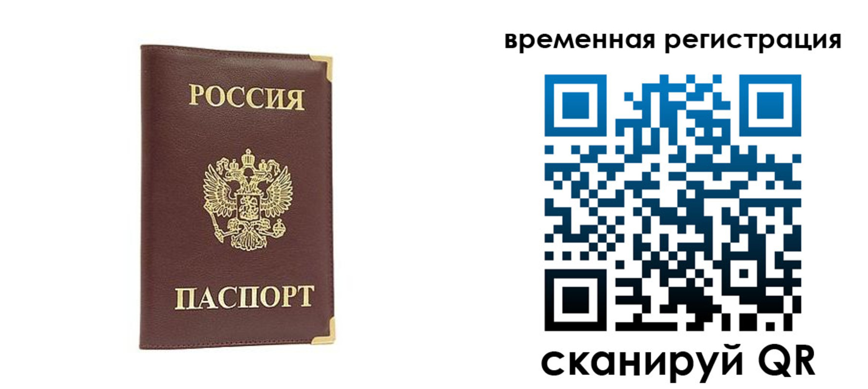 прописка от собственника в Клинцах